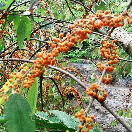 Mayapott Plantation Villa Thekkady Ngoại thất bức ảnh